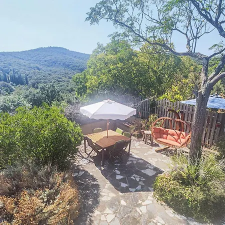 Maison Avec Piscine